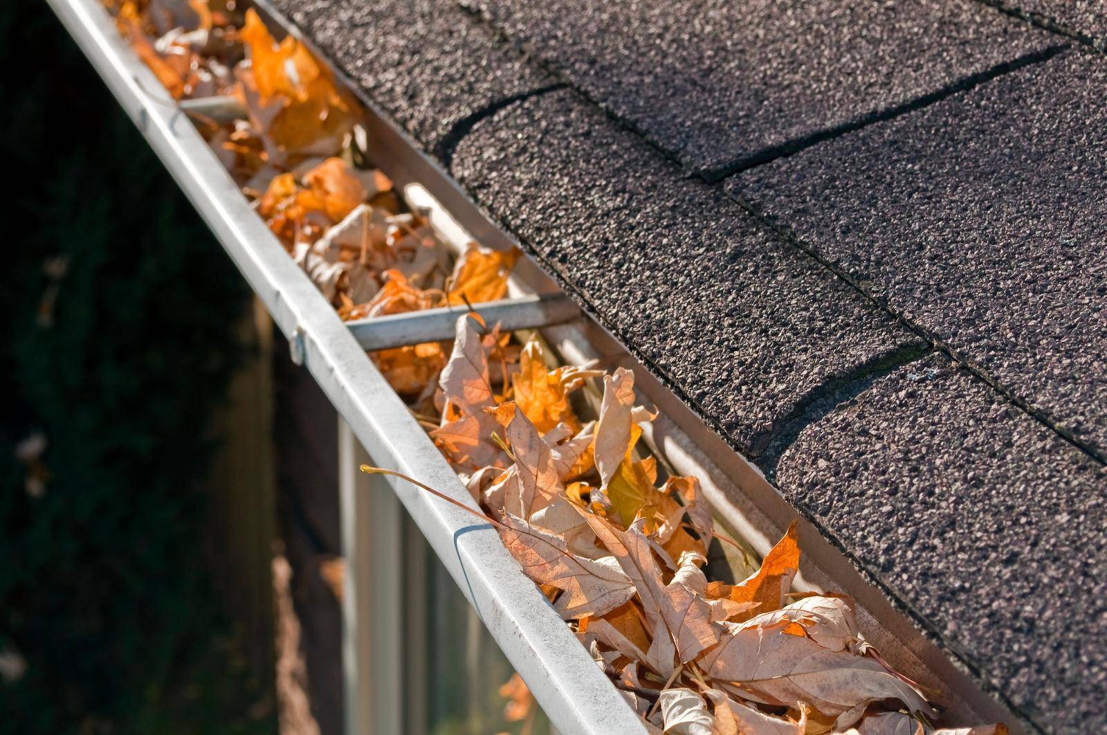 Gutter 2